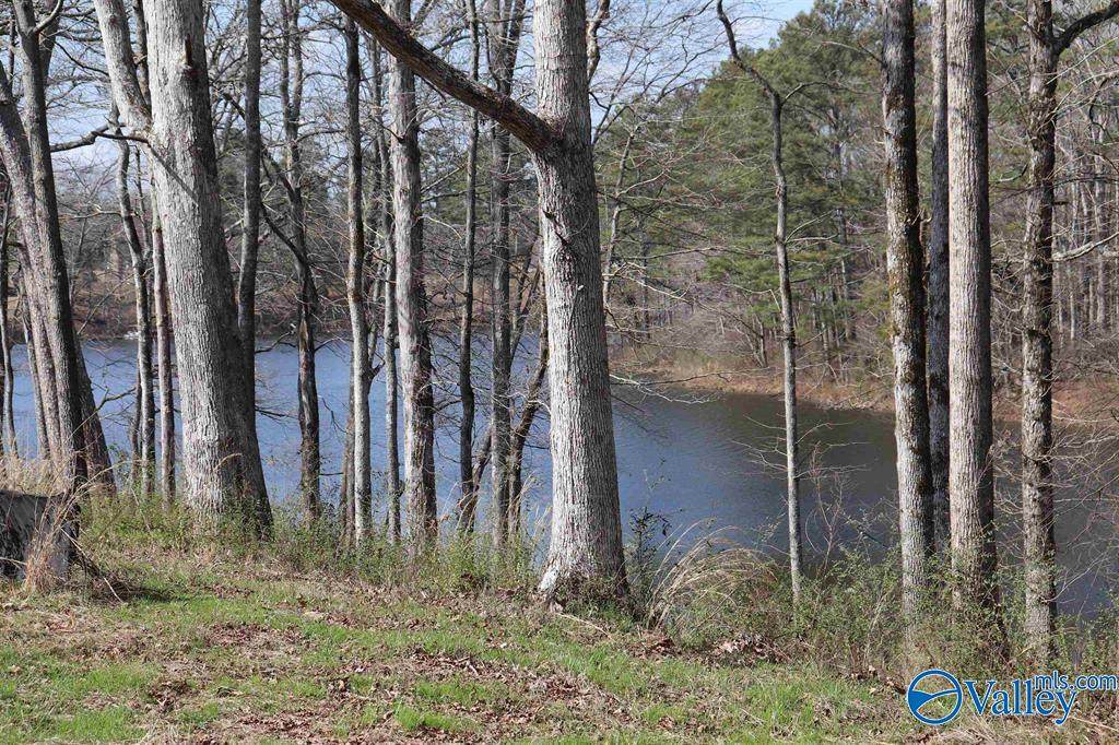 9 AC County Road 1464 - Photo 1