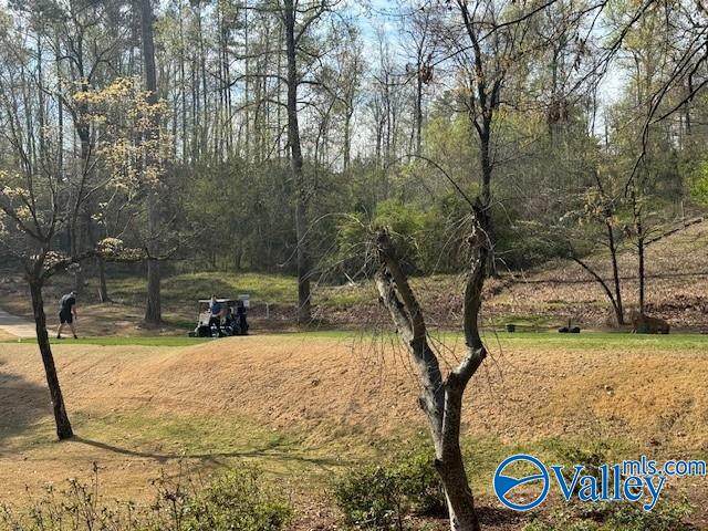 Lot 62 Heritage Drive - Photo 1
