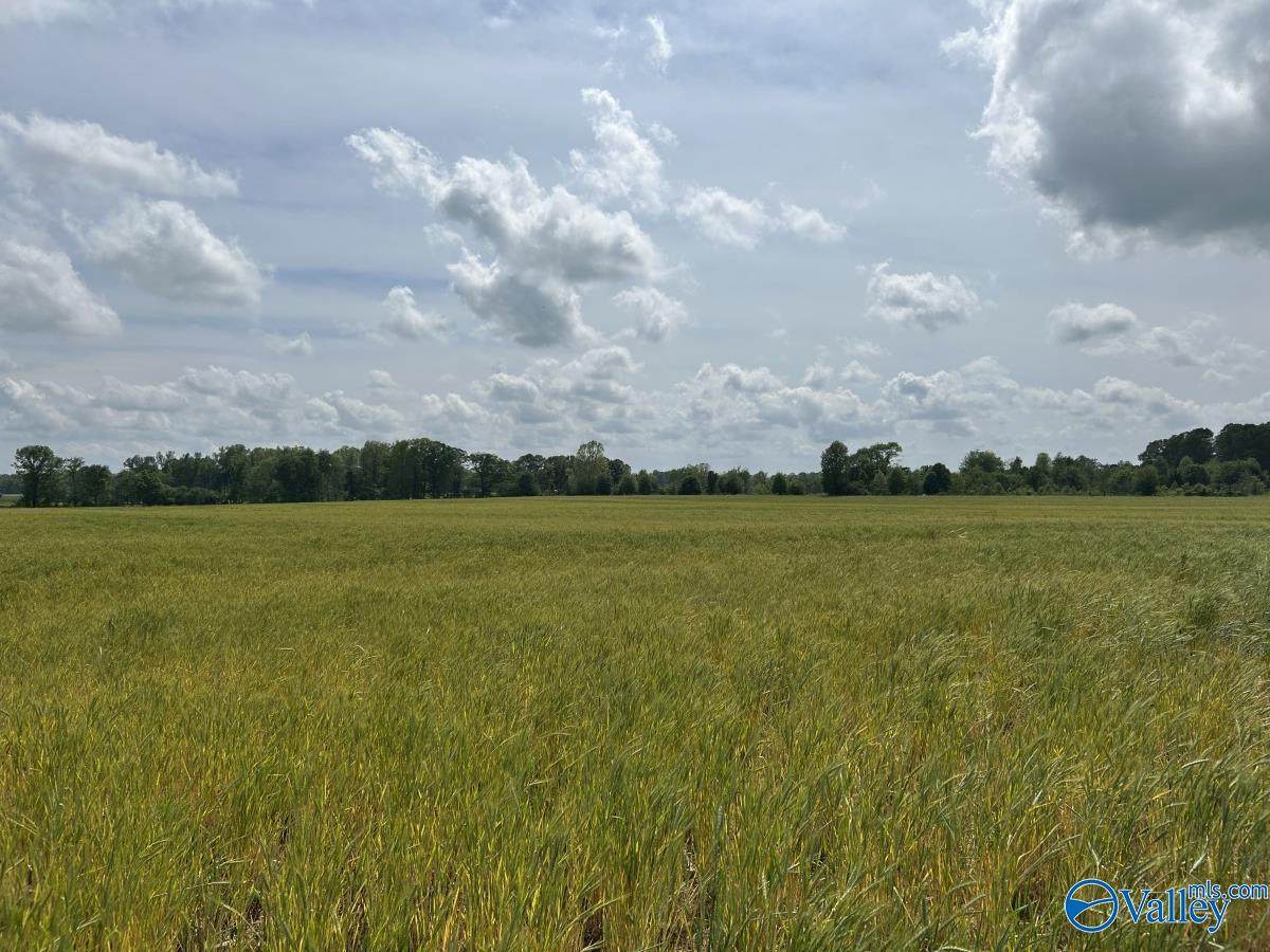 28 Acres Hwy 64 - Photo 1