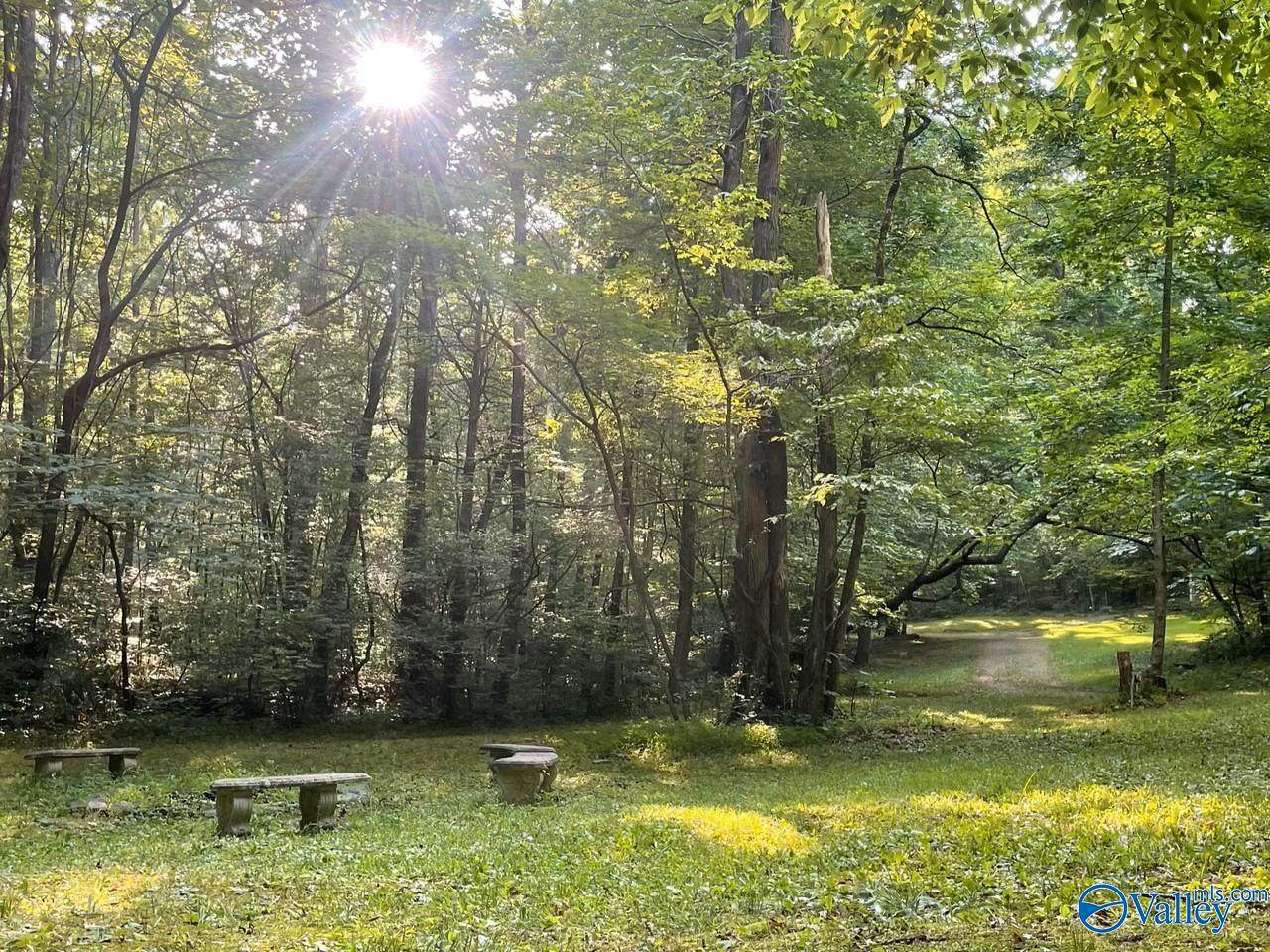 577 Rock Ridge Road - Photo 1