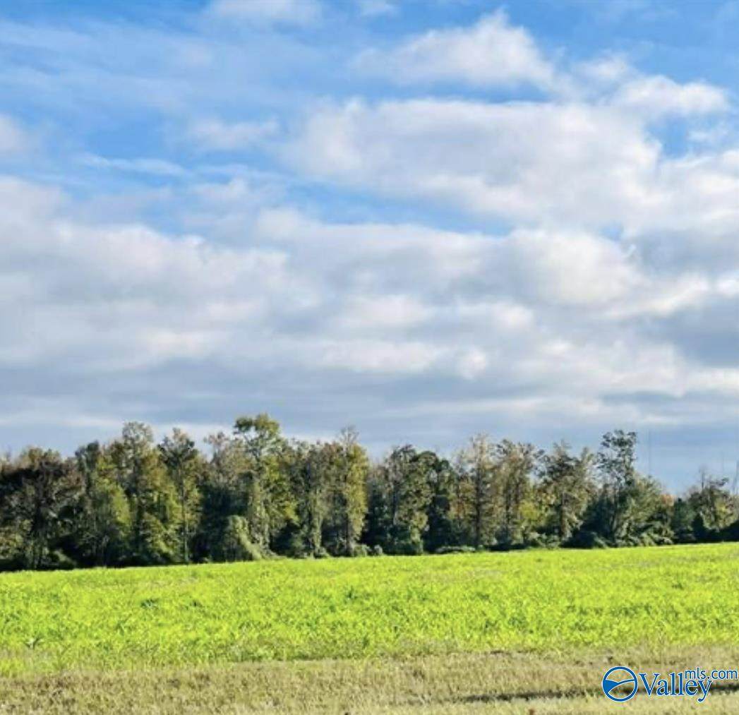 418 Scenic Drive - Photo 1