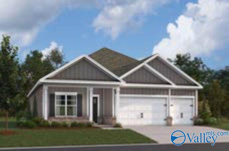 235 Crane Hollow Lane - Photo 1