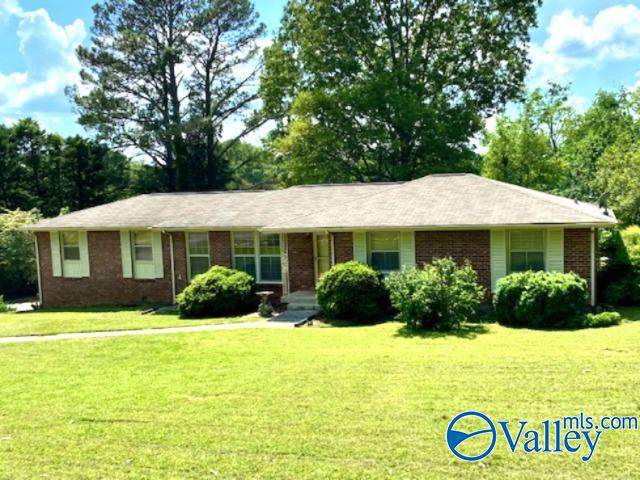 8104 Camille Drive - Photo 1