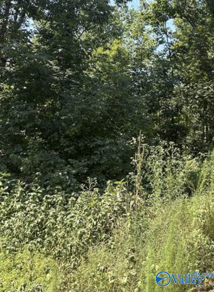 3.2 acres Compton Road - Photo 1