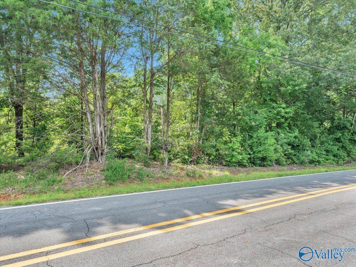 6.5 Roy Davis Road - Photo 1