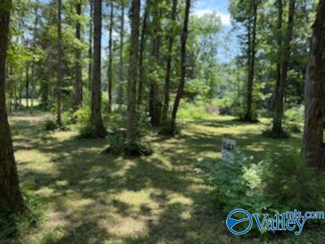 Lot 12 Kristi Lane - Photo 1