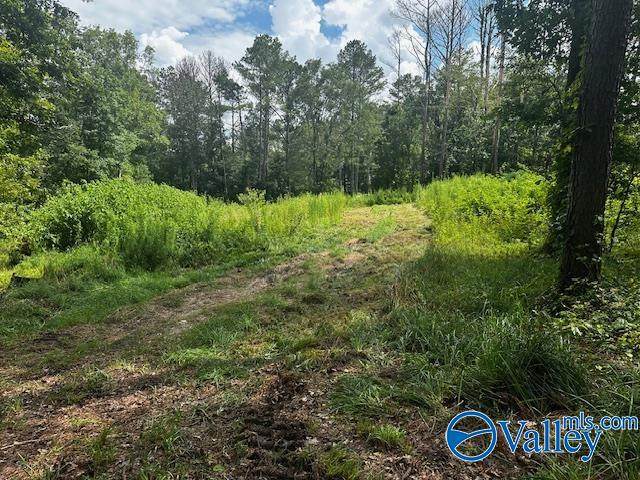 128 Savannah Circle - Photo 1