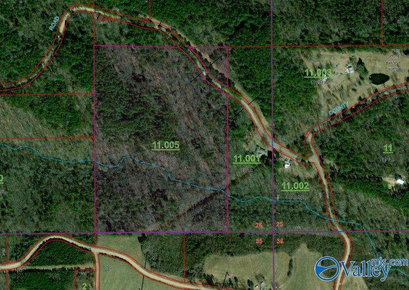30 ac County Road 469 - Photo 1