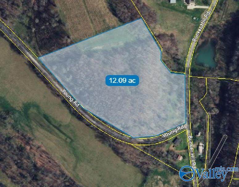 12 Acres Bunker Hill Road - Photo 1
