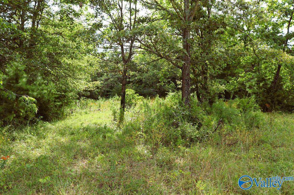 3 Acres County Road 198 - Photo 1