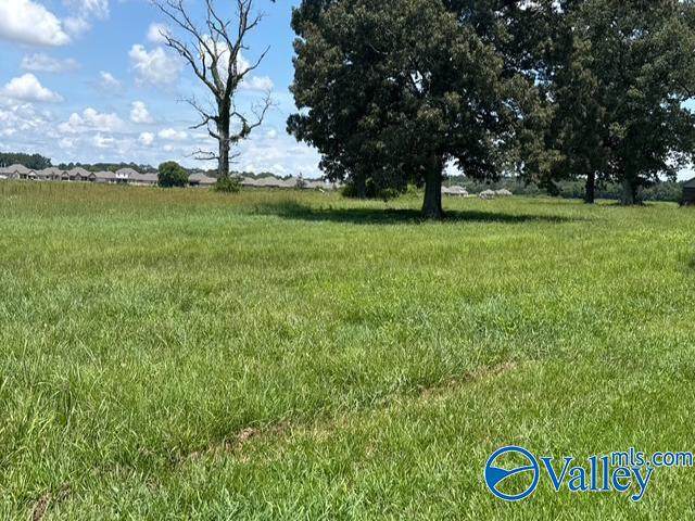 77 ACRES Alabama Highway 251 - Photo 1