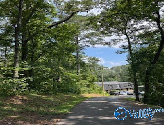 .6 Ac Alford Street - Photo 1