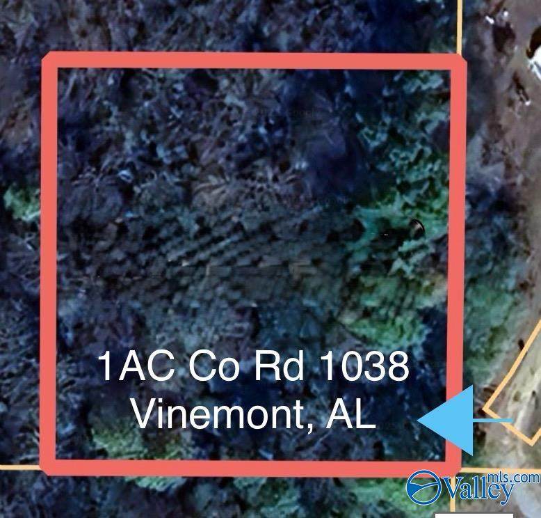 1AC County Road 1038 - Photo 1