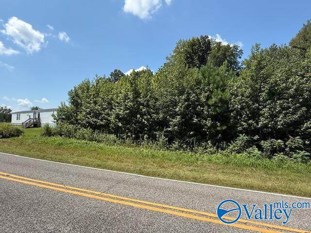 Tract 2 of 2 Flanagan Road - Photo 1