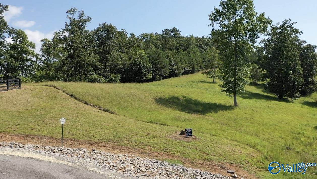 Lot 71 County Road 767 - Photo 1