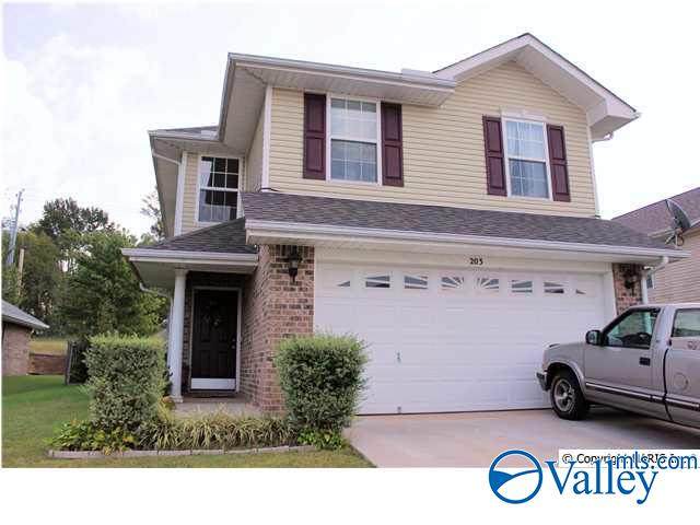 203 Shadow Court - Photo 1