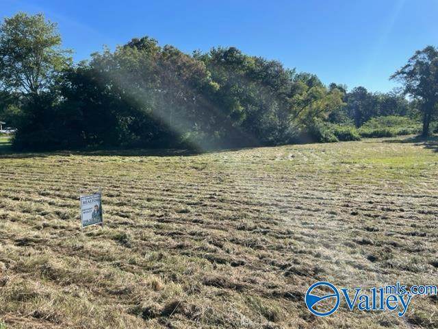 2 acres Church Street - Photo 1