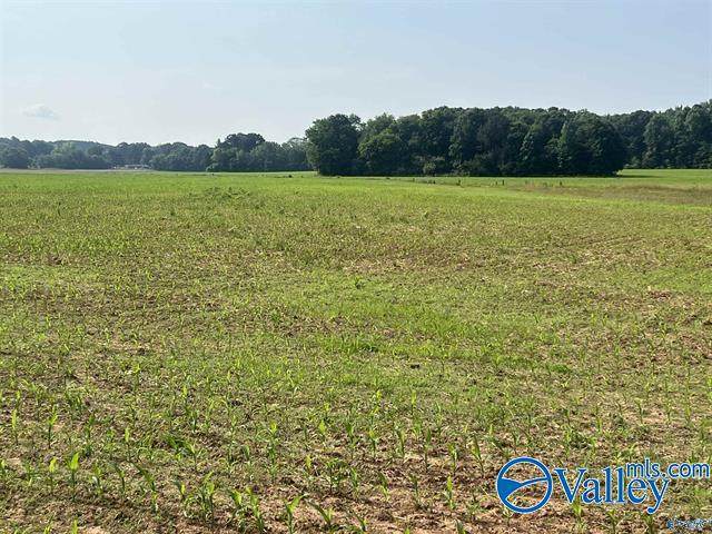 Tract 1 Old Railroad Bed Road - Photo 1