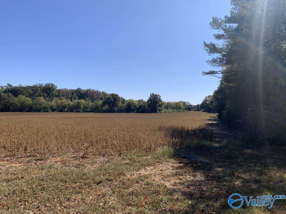 11 Acre County Line Road - Photo 1