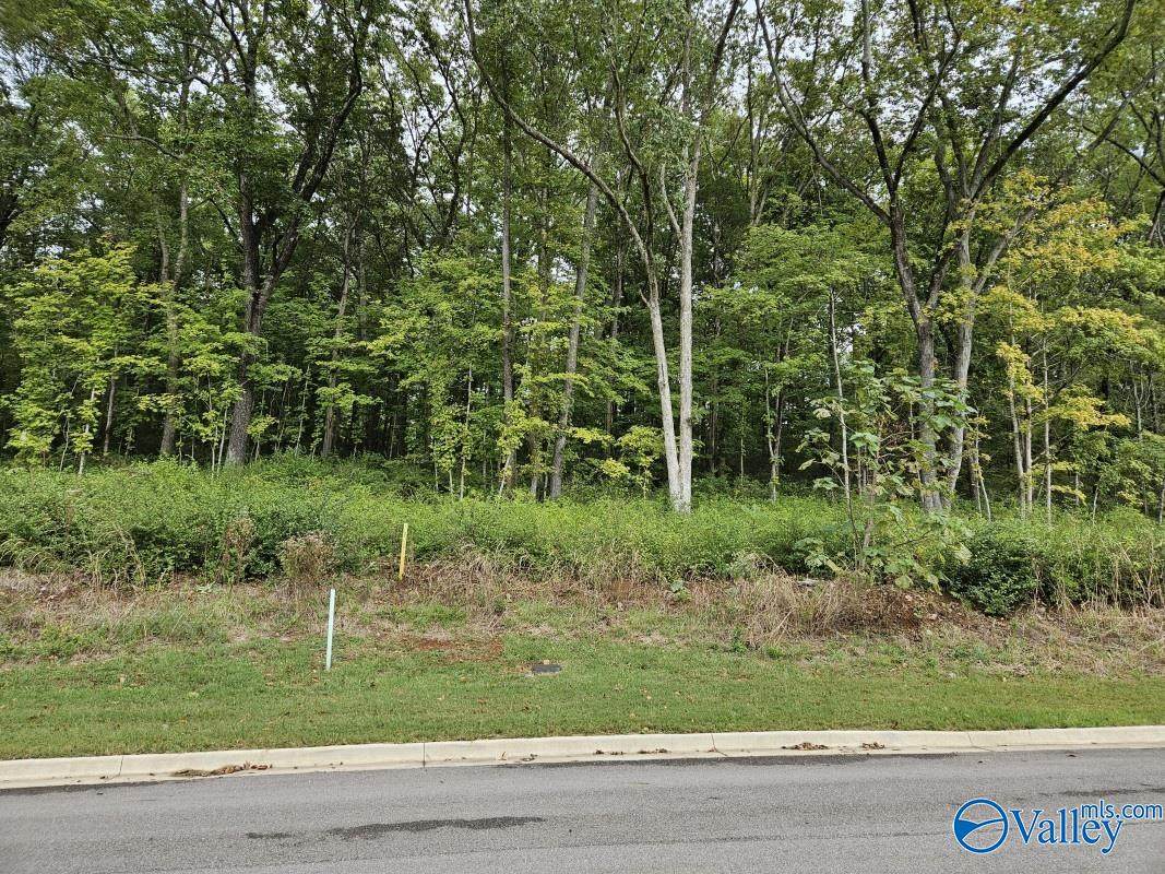 4107 Devon Street - Photo 1