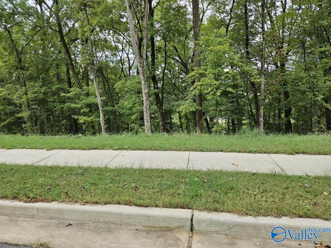 4108 Devon Street - Photo 1