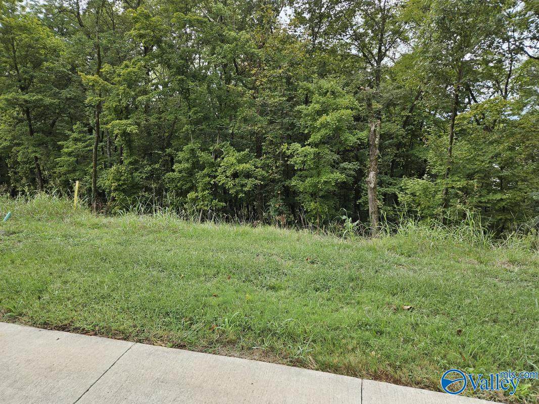4110 Devon Street - Photo 1