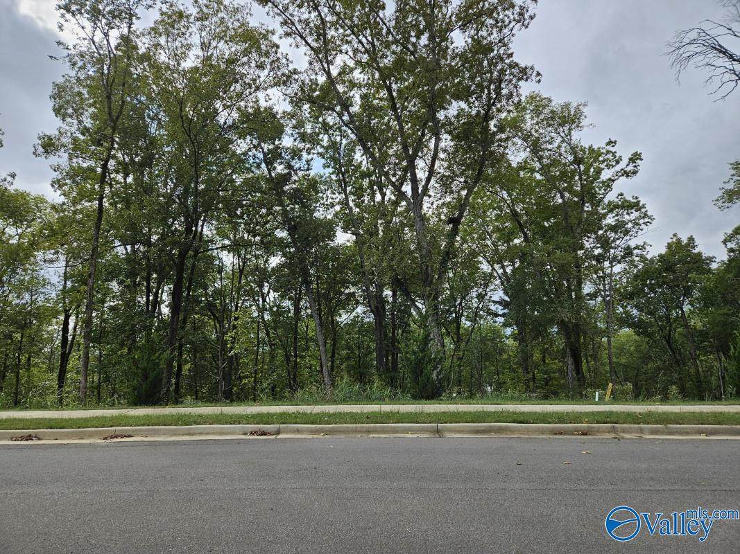 4104 Piedmont Drive - Photo 1