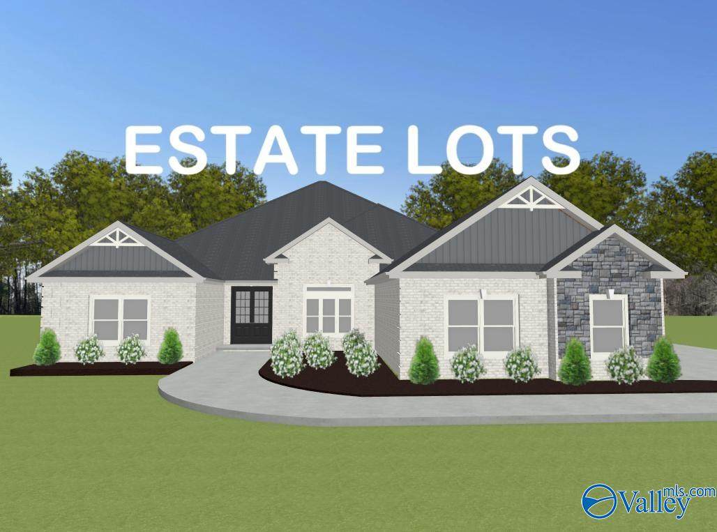 McKinley-A Newby Chapel Road - Photo 1