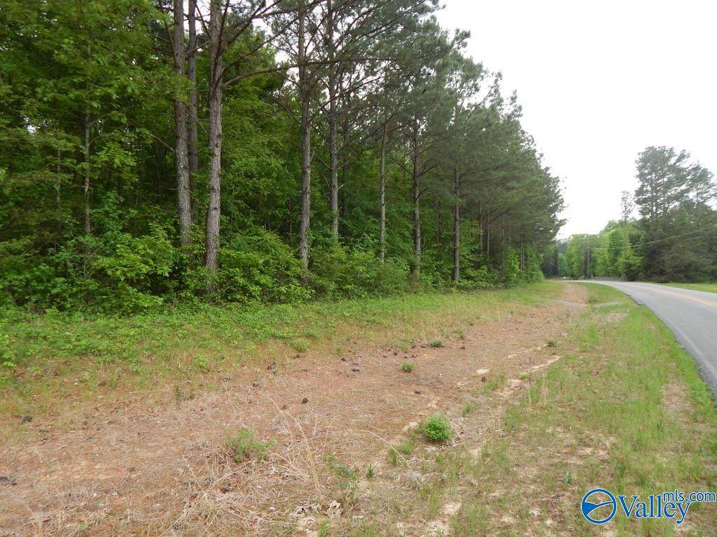 21 acres Pleasant Country Road - Photo 1