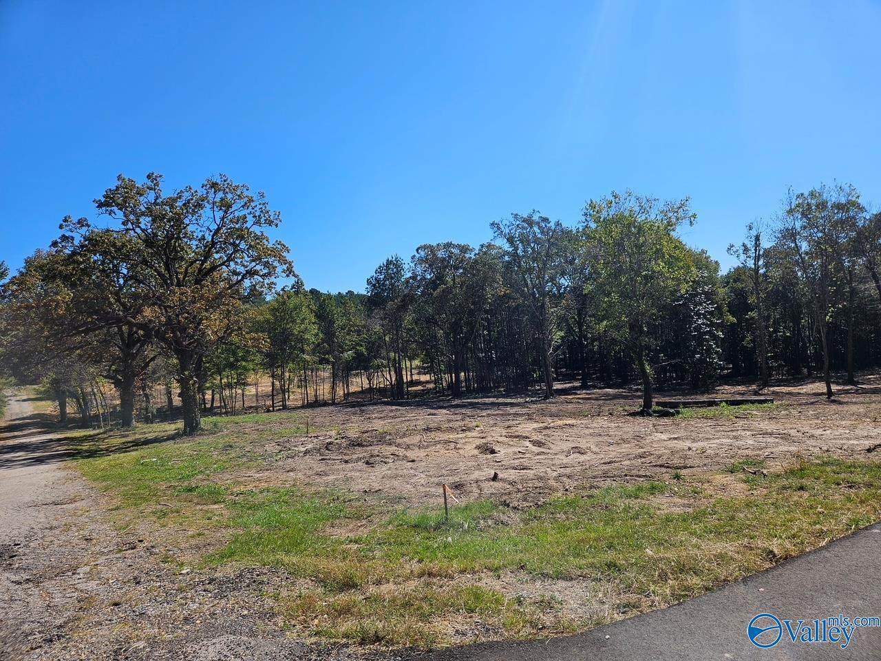 Lot 1 Pratt Avenue - Photo 1