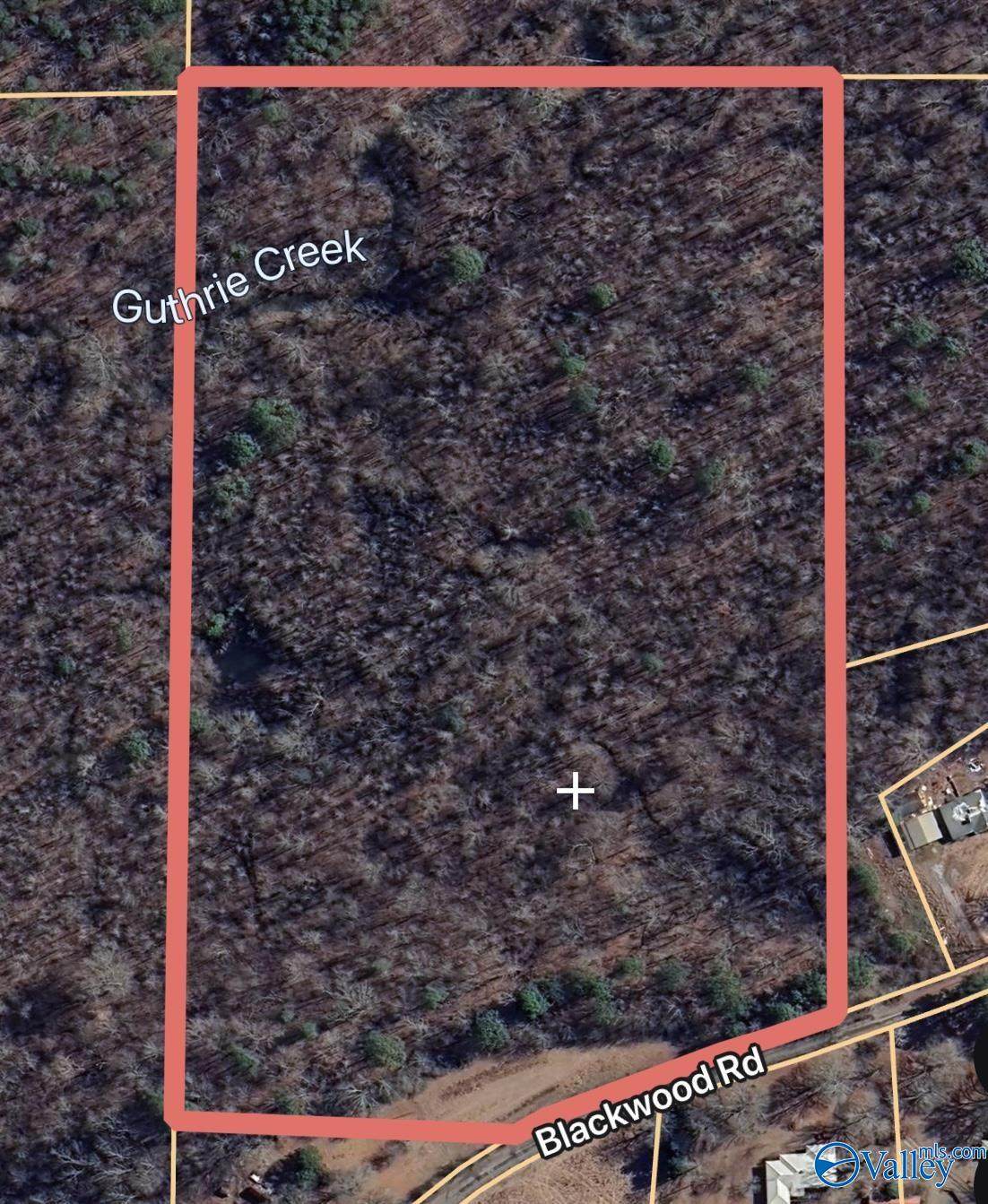 498 Blackwood Road - Photo 1