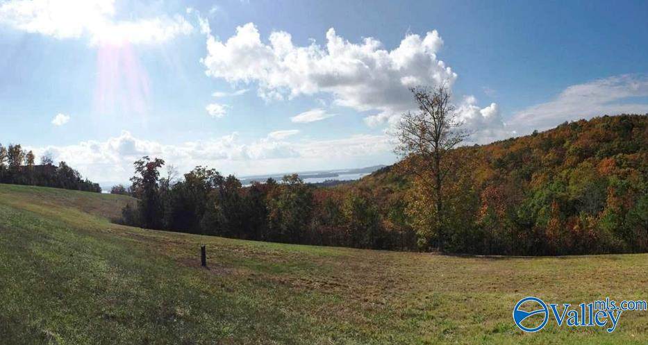 Lot 50 County Road 767 - Photo 1