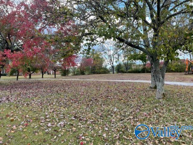 2703 Highway 31 - Photo 1