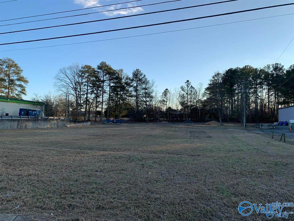 8915 Us Highway 431 - Photo 1