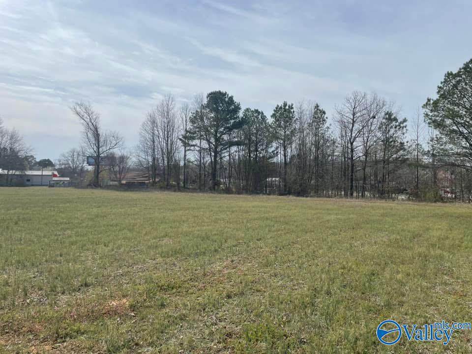 1234 Us Highway 431 - Photo 1
