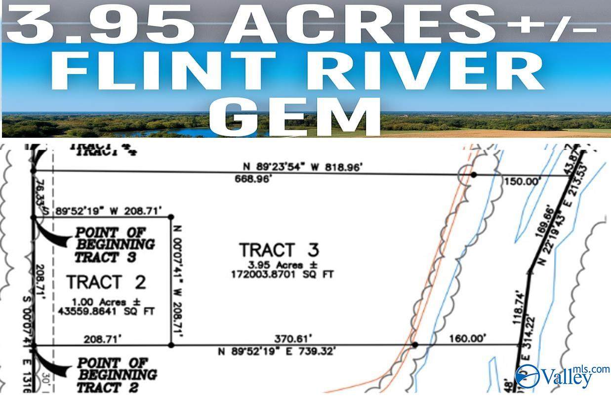 3.95 Old Highway 431 - Photo 1