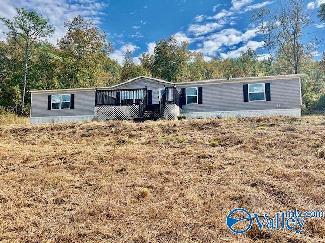 180 Stoney Ridge Lane - Photo 1