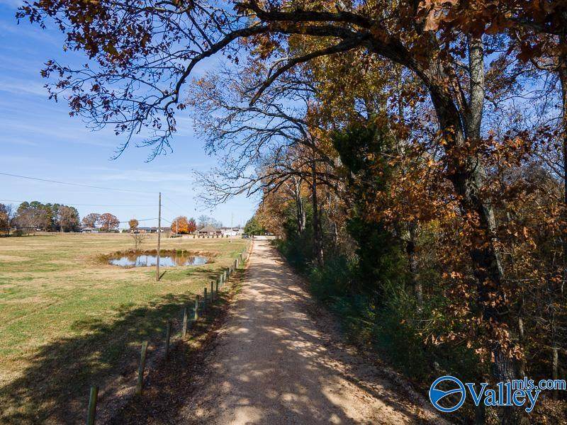 7.62 Acres County Road 399 - Photo 1