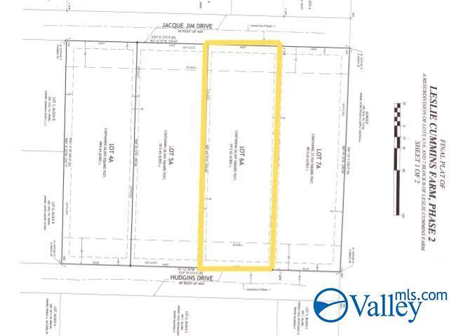 183 Jacque Jim Drive - Photo 1