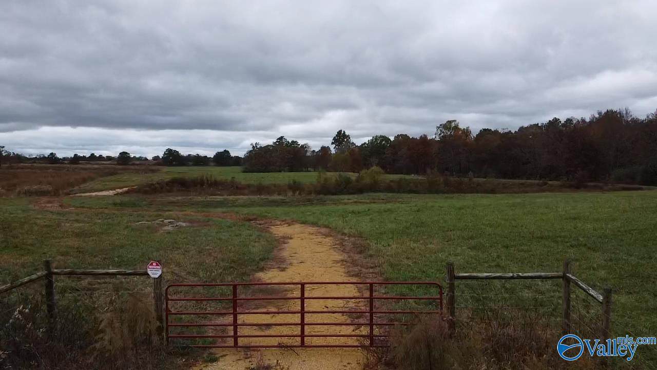 13.9 Acres County Road 429 - Photo 1
