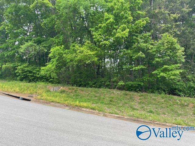 4000 Juniper Drive - Photo 1