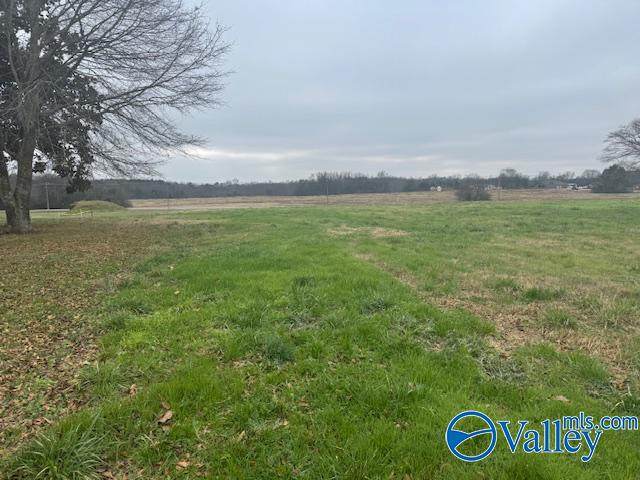 TRACT 8 Alabama Highway 99 - Photo 1