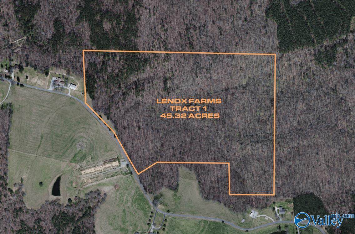 45.32 Acres Latham - Photo 1