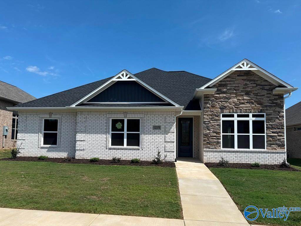 12378 Narayan Street - Photo 1