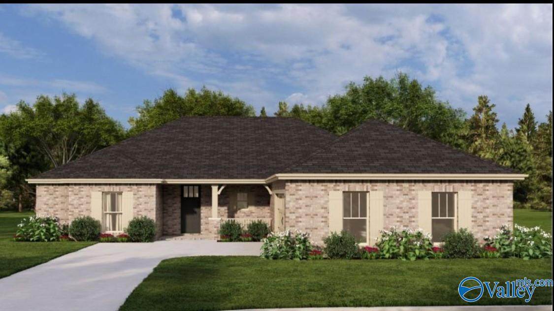 222 Emma Harris Circle - Photo 1