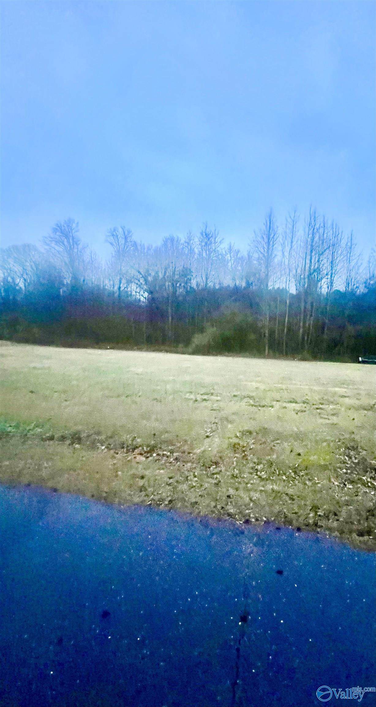 Lot 1 Holcomb Road - Photo 1