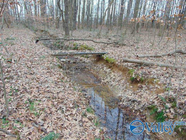 11 Bobo Section Road - Photo 1
