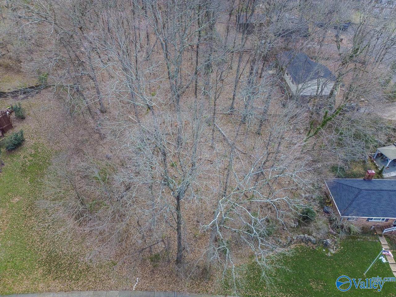2402 Oakwood Avenue - Photo 1