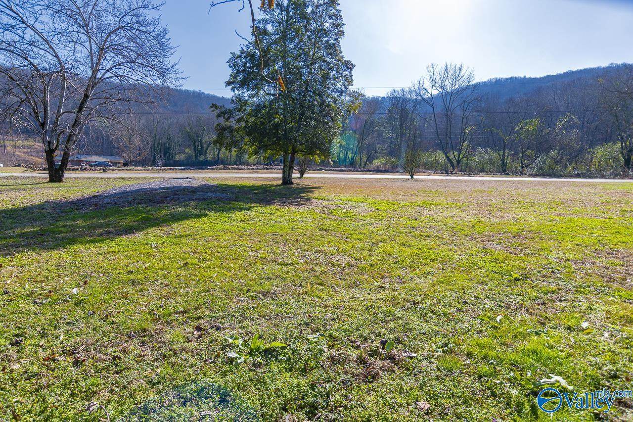 557 Cap Adkins Road - Photo 1