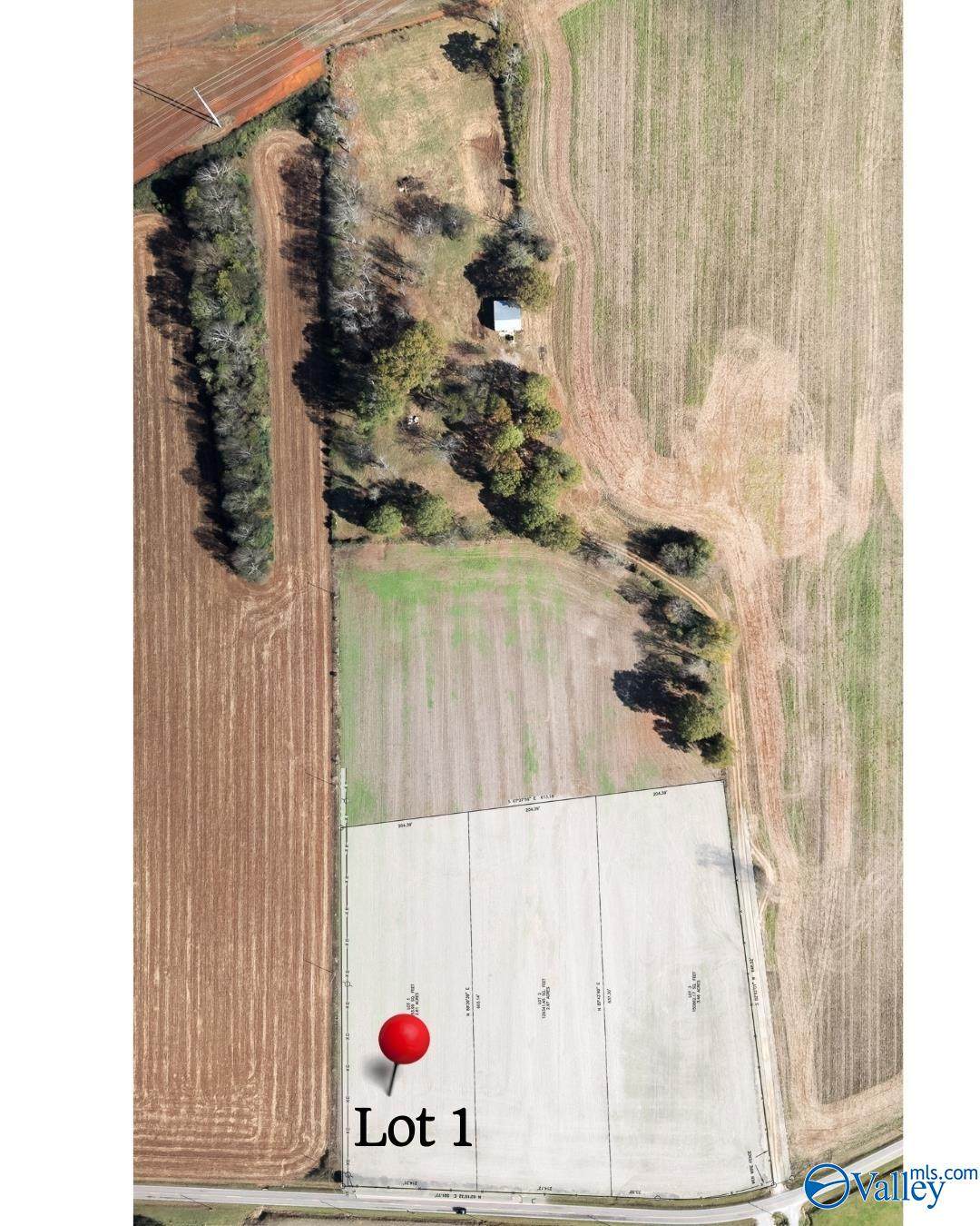 479 Narrow Lane - Photo 1